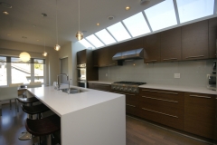 W 49th Ave-contemporary -modern-kitchen flat panel cabinets-skylight (2)
